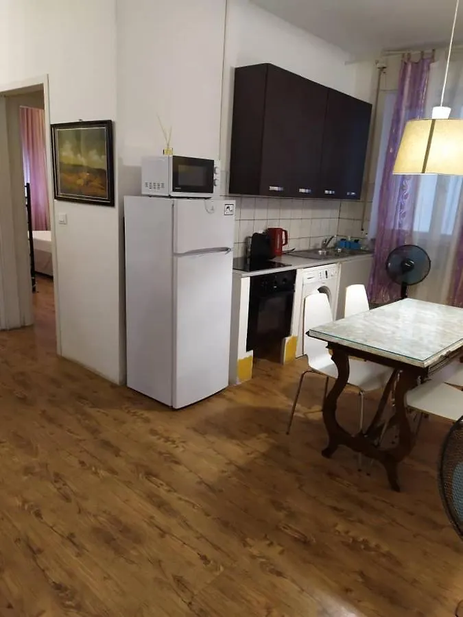 Camera Grande Rosa Apartment Pisa