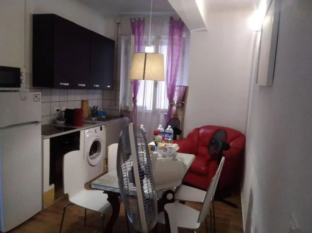 Homestay Camera Grande Rosa Apartment Pisa Italy